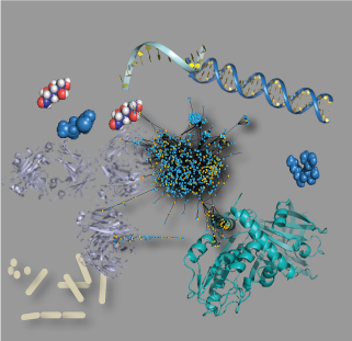 Multi-omics integration illustration